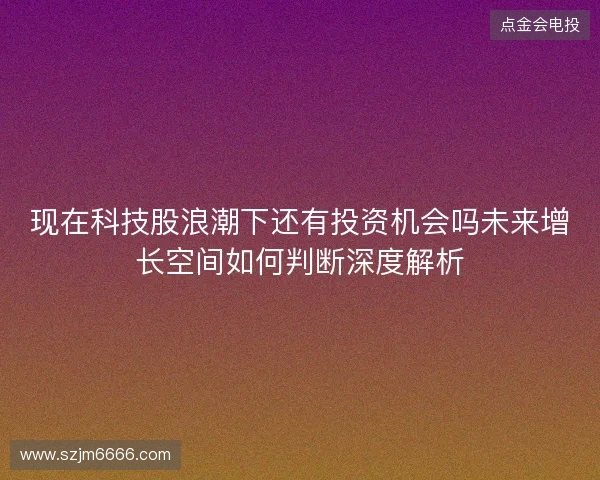 现在科技股浪潮下还有投资机会吗未来增长空间如何判断深度解析
